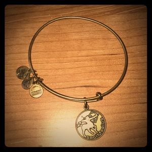 Alex and Ani charm bracelet
